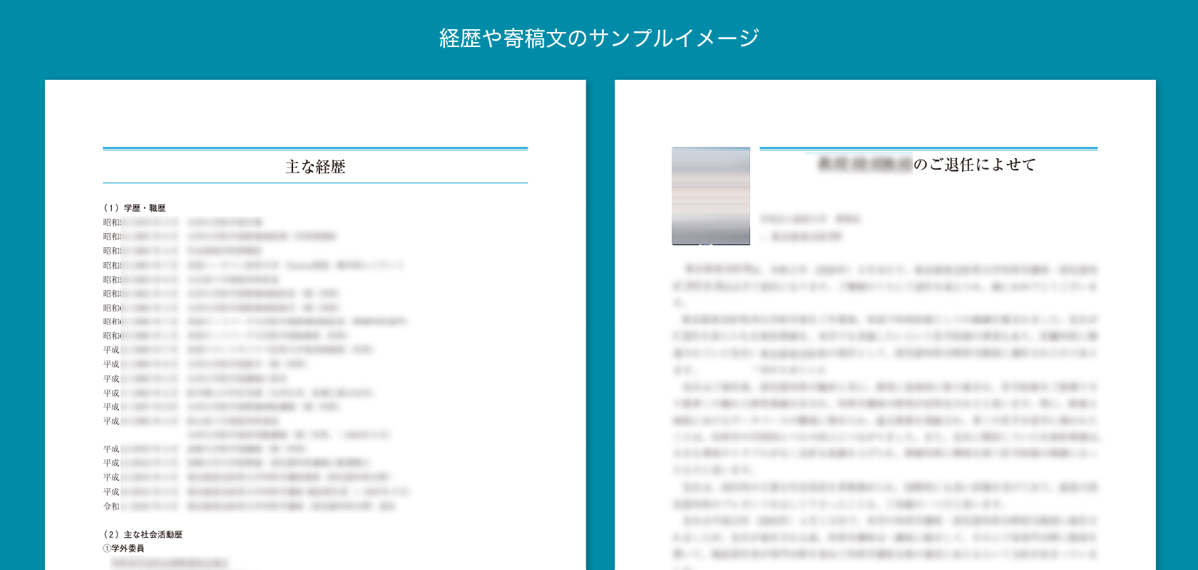 経歴や寄稿文のサンプルイメージ